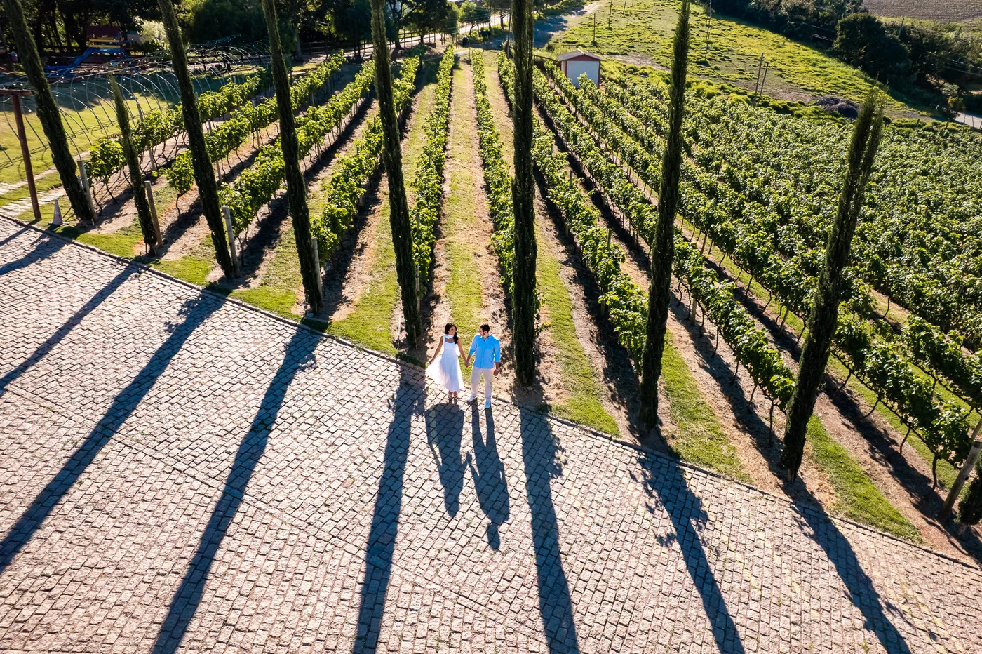 Ensaio de casal entre vinhedos